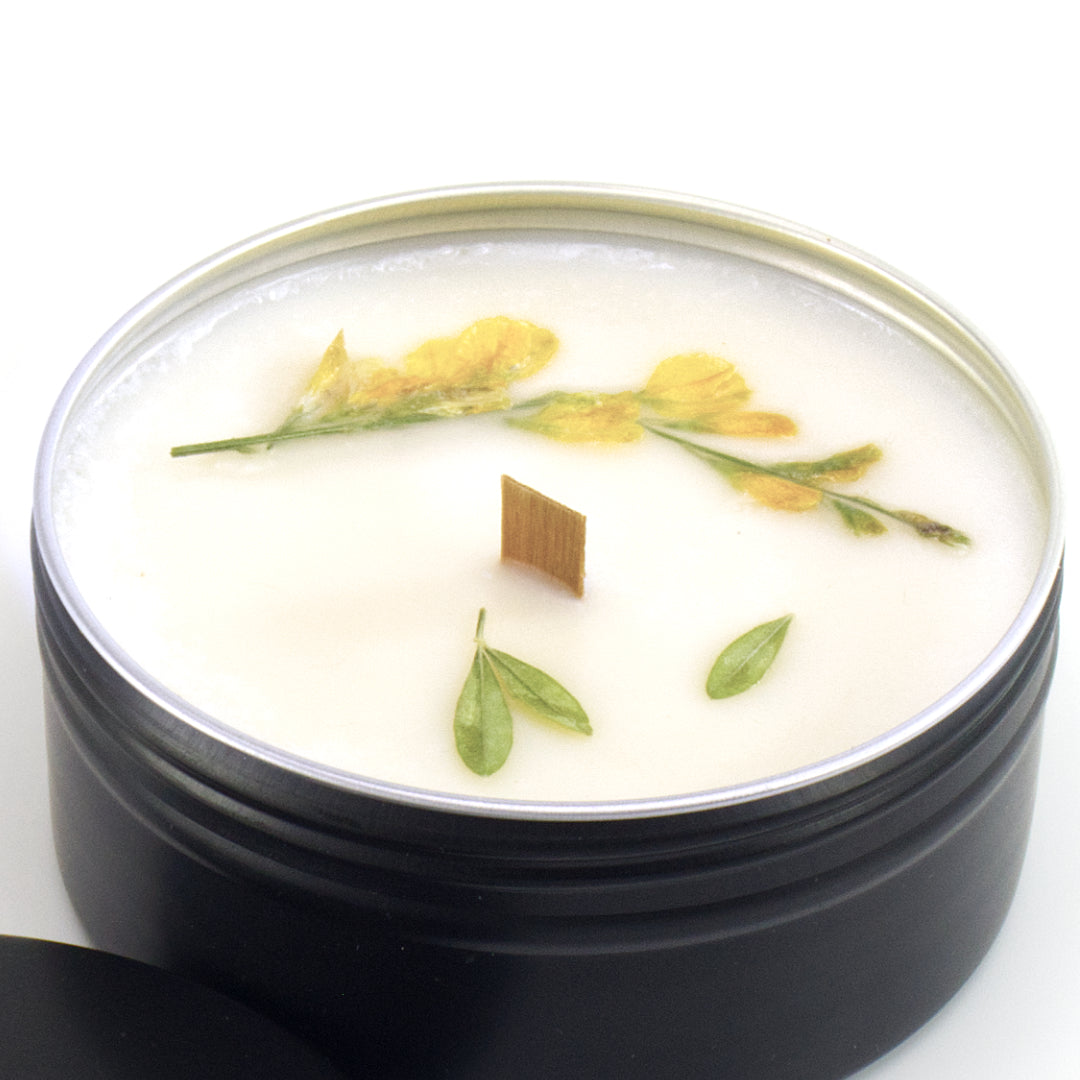 CANDELA essenza Ginestra