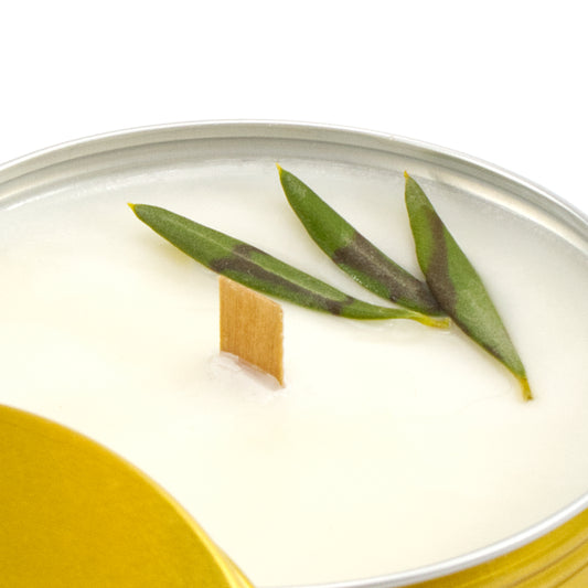 CANDELA essenza d'Ulivo